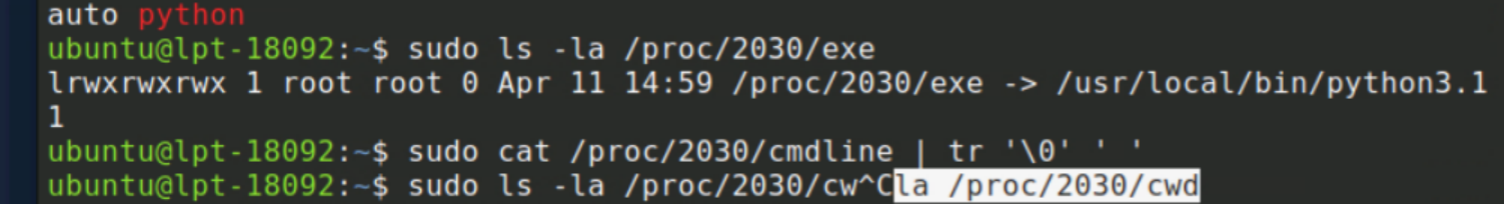 Full command line — python3 running from hidden path